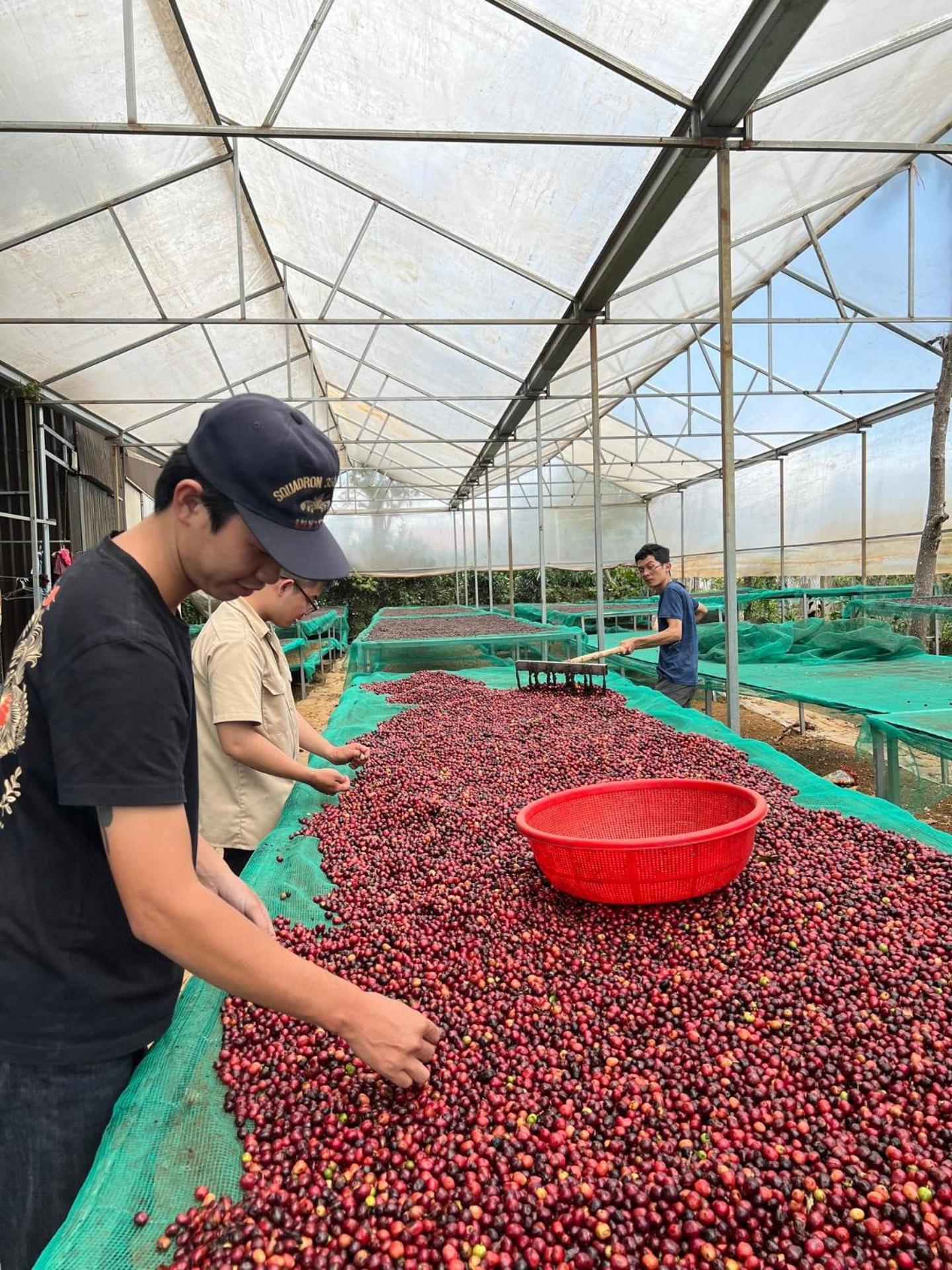 Elon Coffee Country house Da Lat